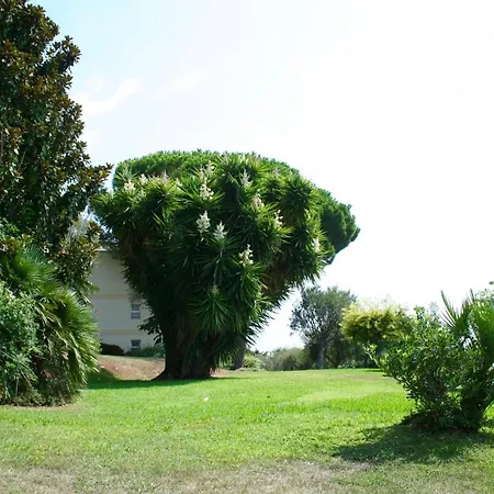 Apartamento Sea View & Gardens In