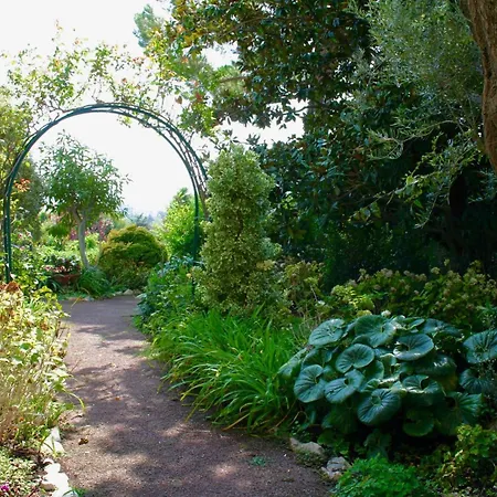 Sea View & Gardens In Apartamento *